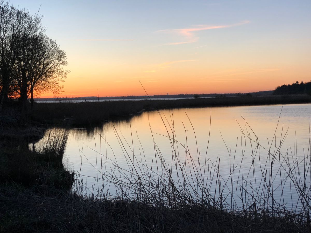 Abendstimmung am Wesebyer See